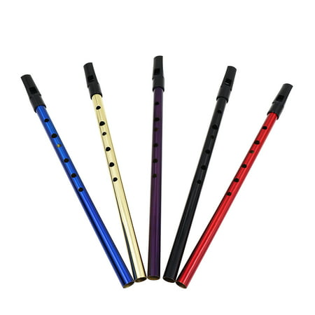 Deluxe Traditional Tin Penny Whistle 6 Holes Wind Music Instrument Brass Key of D Blue 